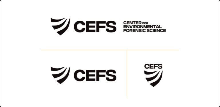 CEFS Logo Options