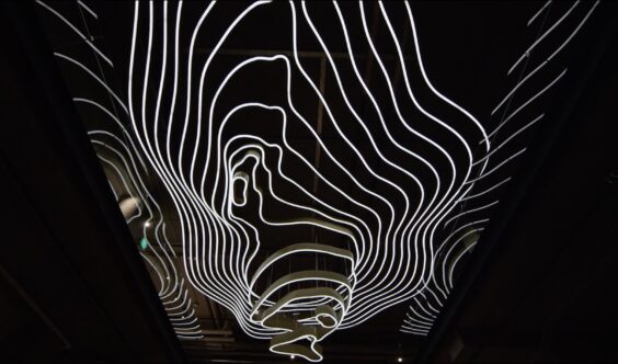 Tableau design project featured in video