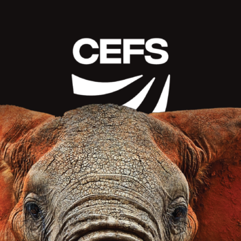 CEFS